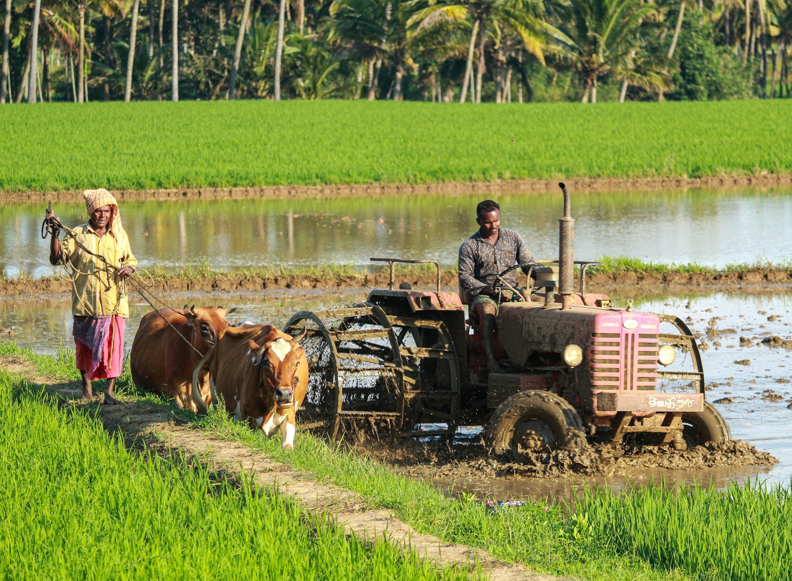 Farm Clinics & Technical Support